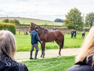 HC240925-63 - Rousham